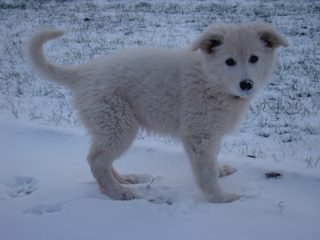 Fotos/2010vervolgJnest/Jae Dunga/DSC08084[1].JPG